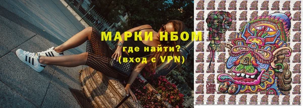 стаф Абаза