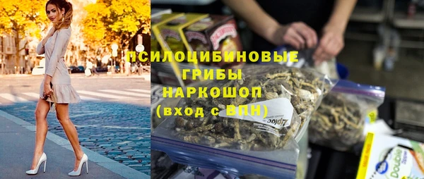 стаф Абаза