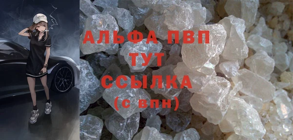 стаф Абаза