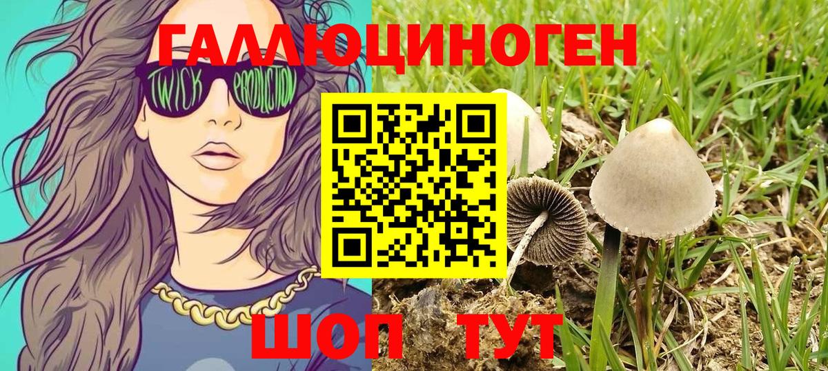Псилоцибиновые грибы мицелий Зерноград