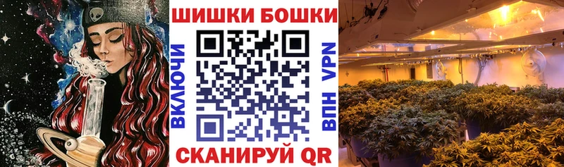 где купить   Зерноград  Бошки марихуана планчик 